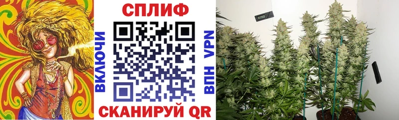 Купить закладку Канабис  Alpha PVP  Меф  Кокаин  Фролово