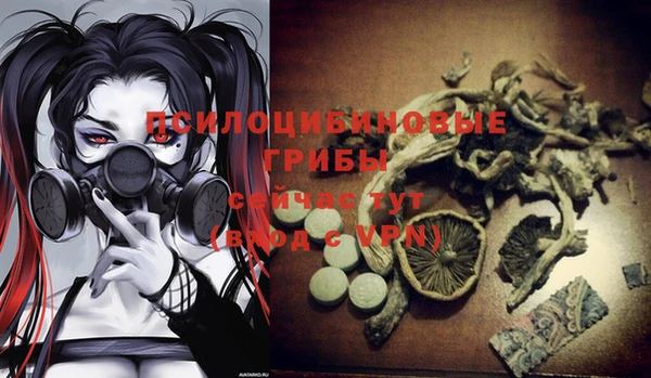 герыч Кодинск