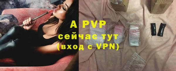 дживик Козельск