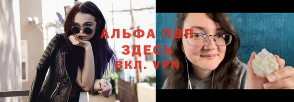 дживик Козельск