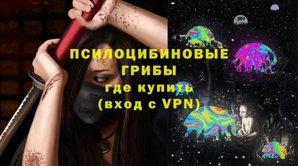 дживик Козельск