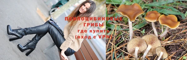 винт Козловка