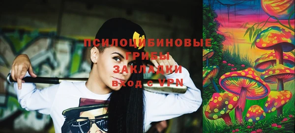 дживик Козельск